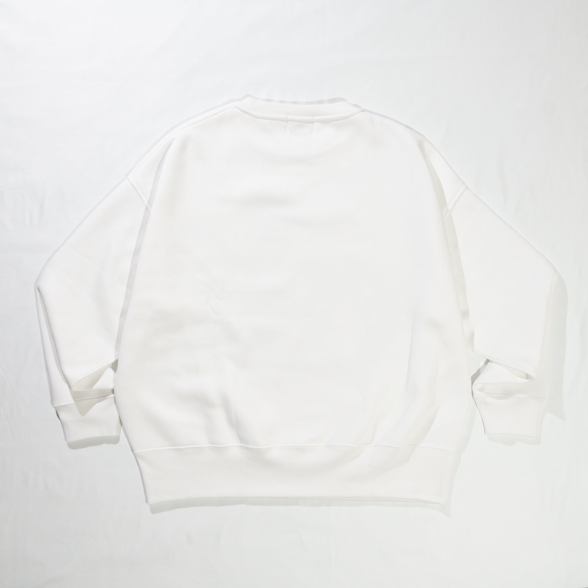 BIG LOGOスウェット